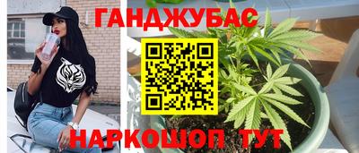 мдпв Татарск