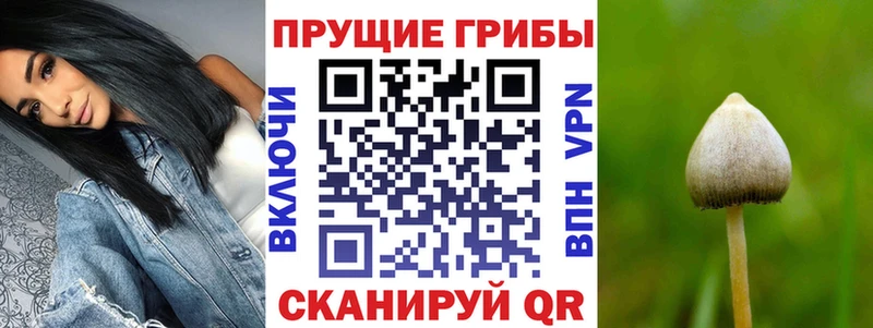 Псилоцибиновые грибы ЛСД  ОМГ ОМГ ссылка  Борисоглебск 
