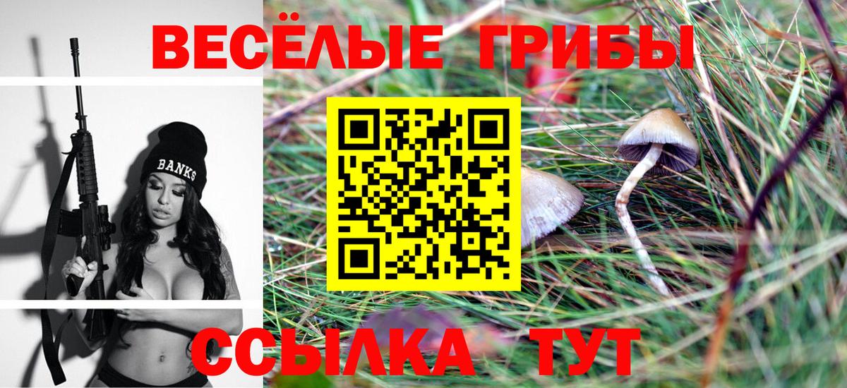 Псилоцибиновые грибы Psilocybe  Вход с VPN  Борисоглебск 