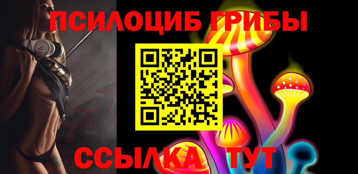 Псилоцибиновые грибы Psilocybine cubensis  Борисоглебск 